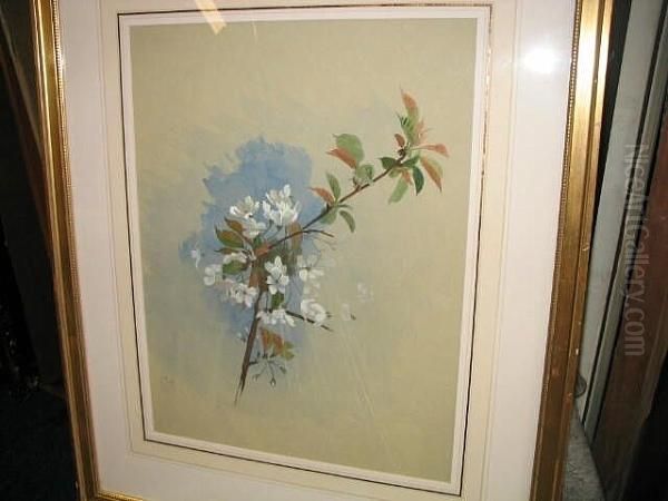 Apple Blossom Oil Painting by Archibald Thorburn