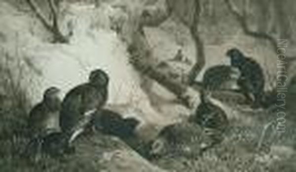 Black Game And Grouse Oil Painting by Archibald Thorburn