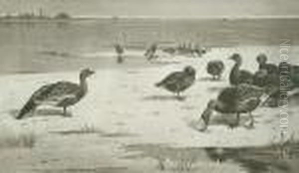 Geese Oil Painting by Archibald Thorburn