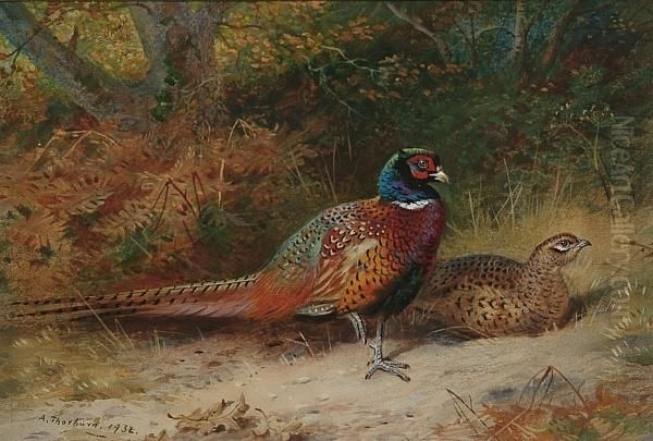 Pheasants In A Wood, A Cock And A Hen Oil Painting by Archibald Thorburn