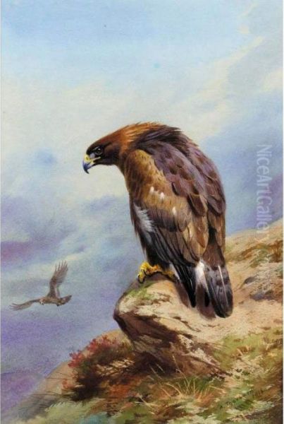 A Golden Eagle Oil Painting by Archibald Thorburn