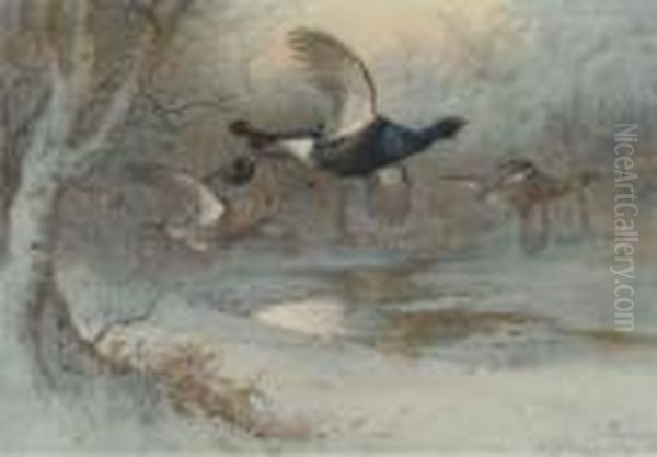 Grouse In Long Grass; And Another Similar Oil Painting by Archibald Thorburn