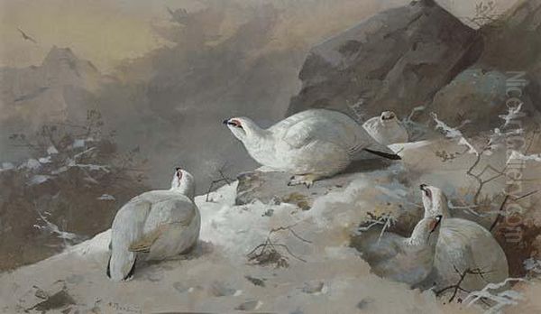 Ptarmigan In Winter Plumage Oil Painting by Archibald Thorburn