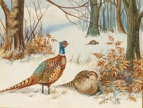 Pheasants Foraging In A Snowscape Oil Painting by Archibald Thorburn