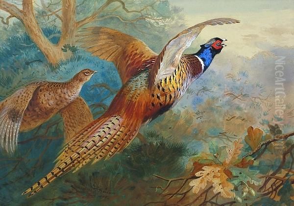 Flushed Pheasants, Autumn Oil Painting by Archibald Thorburn