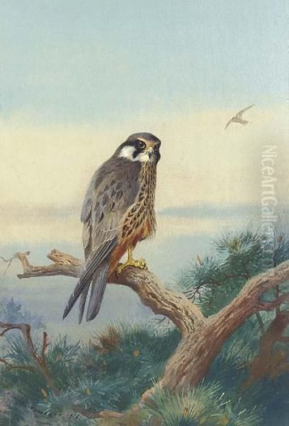 Hobby Oil Painting by Archibald Thorburn