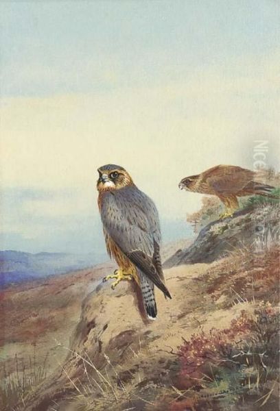 Merlin Oil Painting by Archibald Thorburn