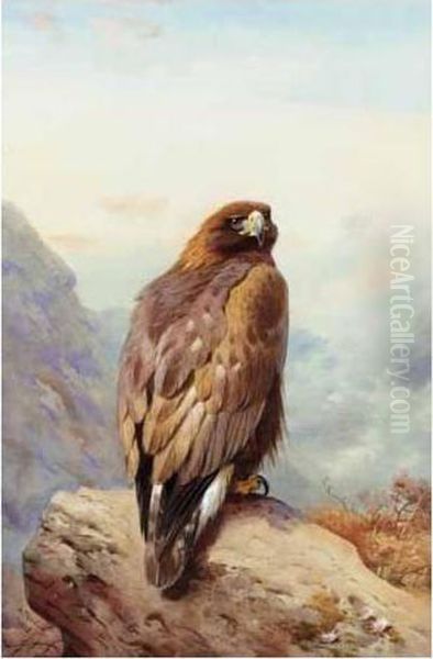 Golden Eagle Oil Painting by Archibald Thorburn