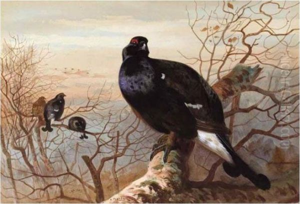 The Evening Roost, Black Game Oil Painting by Archibald Thorburn