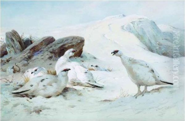 Ptarmigan In The Snow Oil Painting by Archibald Thorburn