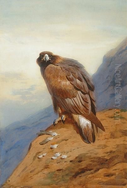 Golden Eagle Oil Painting by Archibald Thorburn