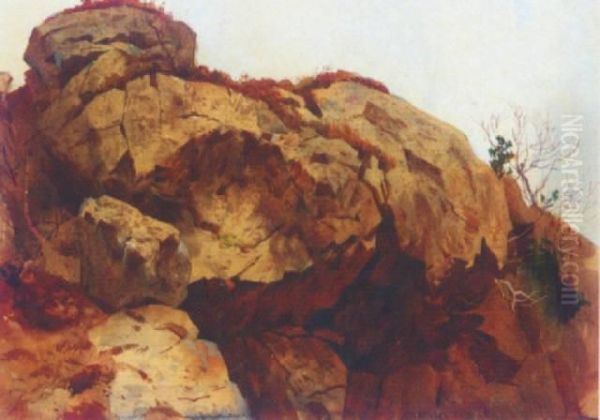 Rocky Outcrop Oil Painting by Archibald Thorburn