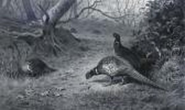 Pheasant On A Woodland Path, Late Autumn Oil Painting by Archibald Thorburn