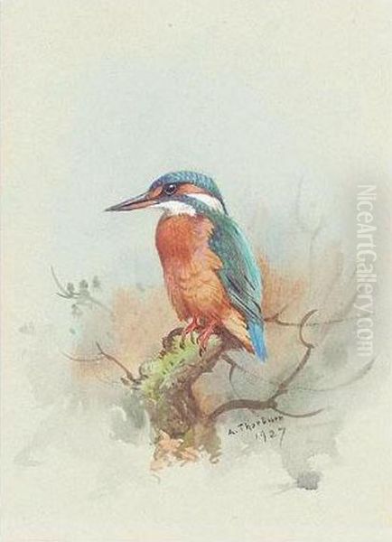 Kingfisher Oil Painting by Archibald Thorburn