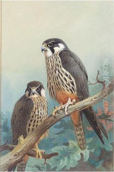 Hobbies Oil Painting by Archibald Thorburn