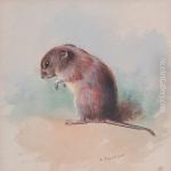 Field Mouse Oil Painting by Archibald Thorburn