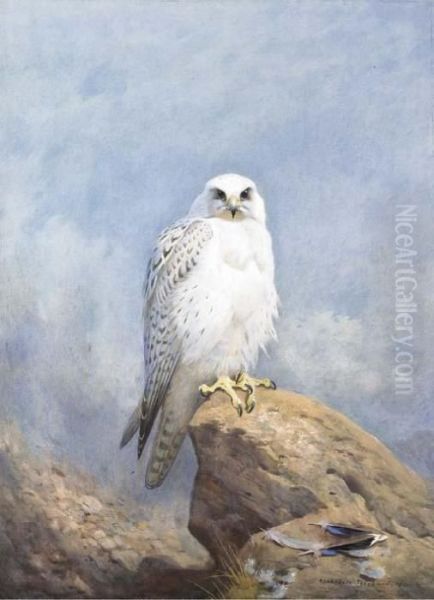 Gyr Falcon Oil Painting by Archibald Thorburn