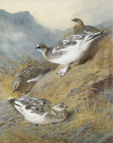 Ptarmigan; Adult Male, Female And Young, Autumn Plumage Oil Painting by Archibald Thorburn