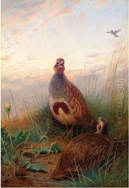 Against The Brightening Dawn Oil Painting by Archibald Thorburn