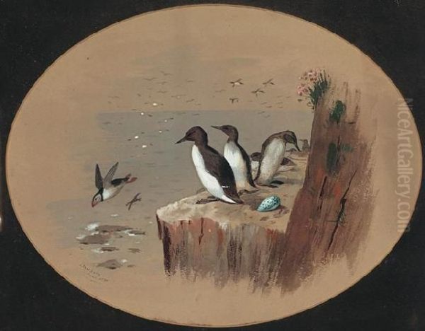 Puffins Oil Painting by Archibald Thorburn