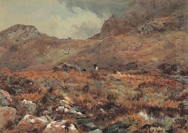 Sheep Resting In A Grouse Moor Oil Painting by Archibald Thorburn