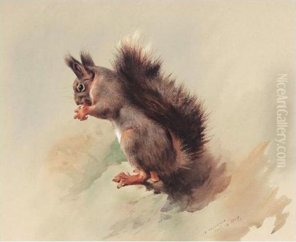 The Red Squirrel Oil Painting by Archibald Thorburn