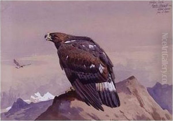 Golden Eagle Oil Painting by Archibald Thorburn