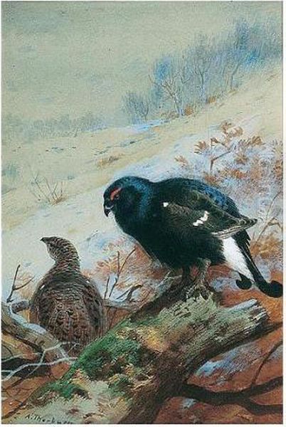 Black Game In Winter Oil Painting by Archibald Thorburn