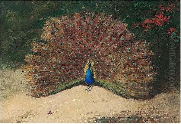 Peacock And Butterfly Oil Painting by Archibald Thorburn