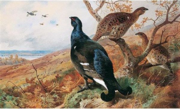 Blackgame Oil Painting by Archibald Thorburn