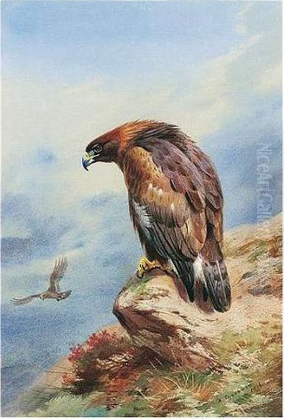 Golden Eagle Oil Painting by Archibald Thorburn