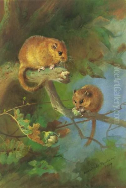 Dormice Oil Painting by Archibald Thorburn