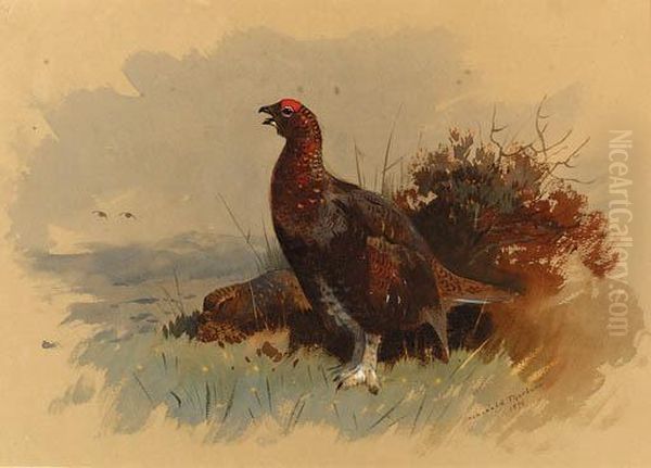 A Pair Of Red Grouse Among Heather Oil Painting by Archibald Thorburn