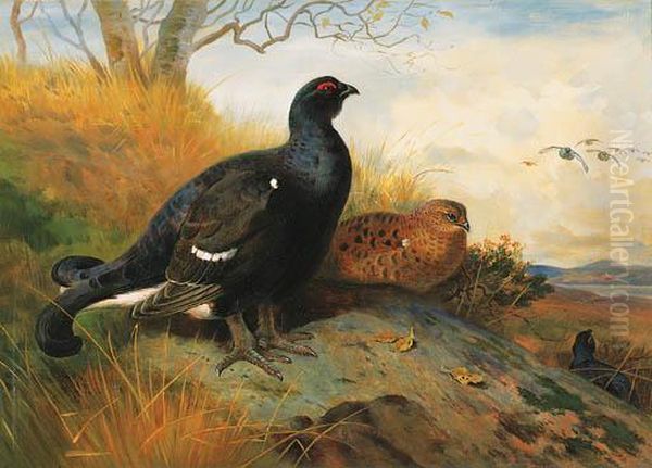 Blackgame On A Rocky Outcrop Beneath A Tree, A Lake Beyond Oil Painting by Archibald Thorburn