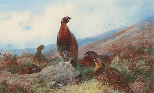 A Covey Of Red Grouse On A Moor Oil Painting by Archibald Thorburn