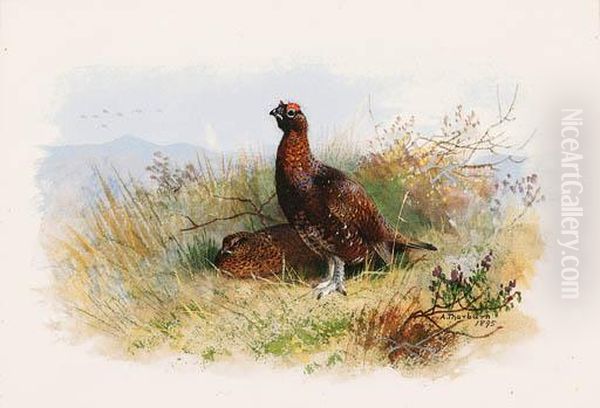 A Pair Of Red Grouse Oil Painting by Archibald Thorburn