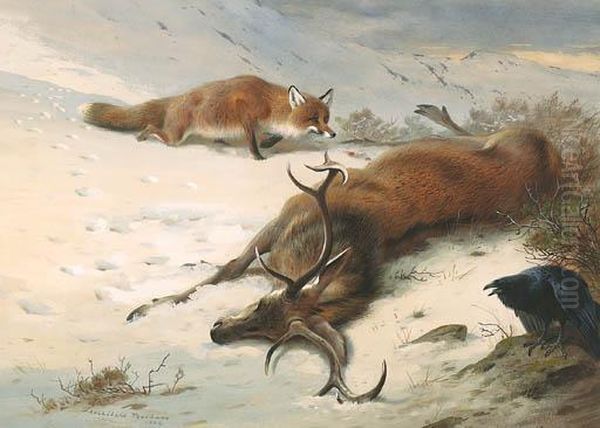 The Fox, The Raven And The Dead Stag Oil Painting by Archibald Thorburn