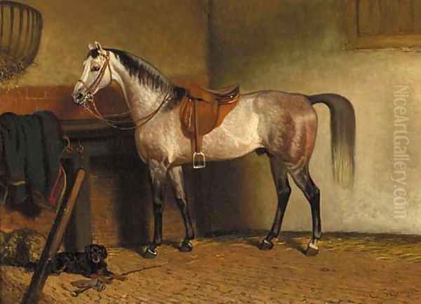 A saddled grey horse in a stable Oil Painting by Cornelis Albertus Johannes Schermer