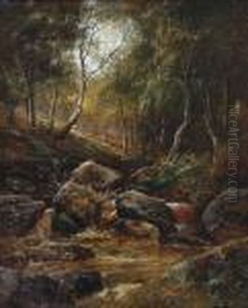 A Woodland Stream Oil Painting by Joseph Thors