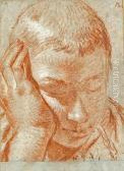 The Head Of A Boy, His Right Hand Tocheek Oil Painting by Giovanni Battista Tiepolo