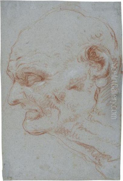 Head Of Seneca In Profile, Looking To The Left Oil Painting by Giovanni Battista Tiepolo