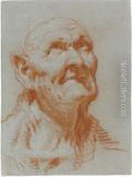 Head Of An Old Man, Looking Upwards Oil Painting by Giovanni Battista Tiepolo