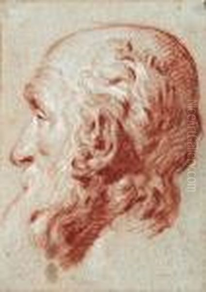 The Head Of Giulio Contarini, After Alessandro Vittoria Oil Painting by Giovanni Battista Tiepolo