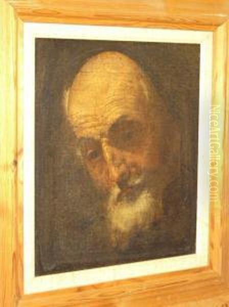 Study Of A Bearded Man Oil Painting by Giovanni Domenico Tiepolo