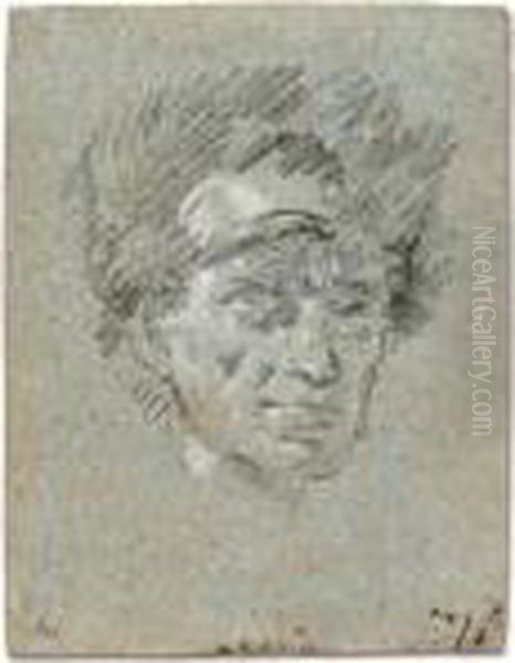 Head Of A Man Wearing A Fur Hat Oil Painting by Giovanni Domenico Tiepolo