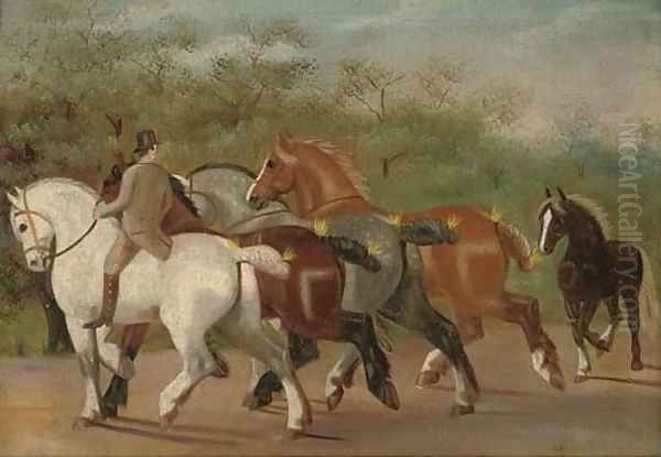 Shire-horses at exercise Oil Painting by Henry William Standing