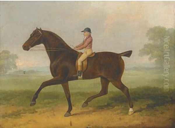 A racehorse with jockey up Oil Painting by John Nott Sartorius