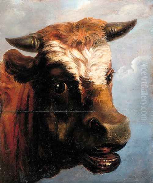 Head of a bull Oil Painting by Jacob van Strij