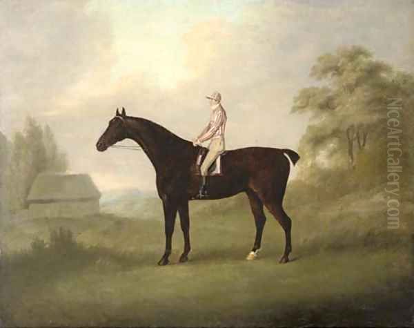 A racehorse with jockey up Oil Painting by John Nost Sartorius