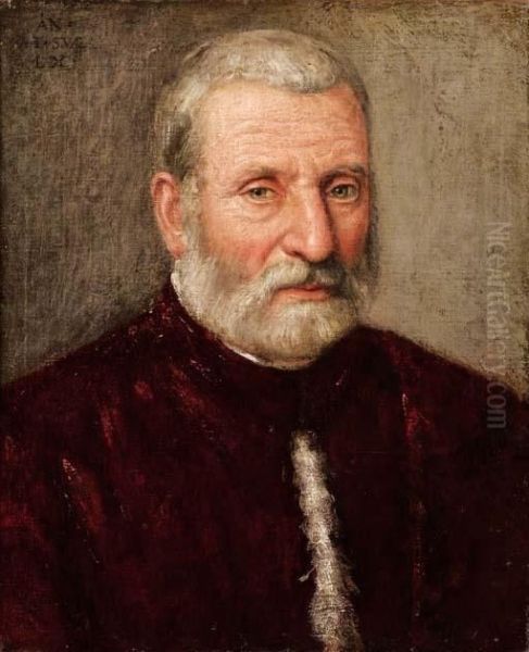 Ritratto Di Procuratore Veneziano Oil Painting by Jacopo Robusti, II Tintoretto